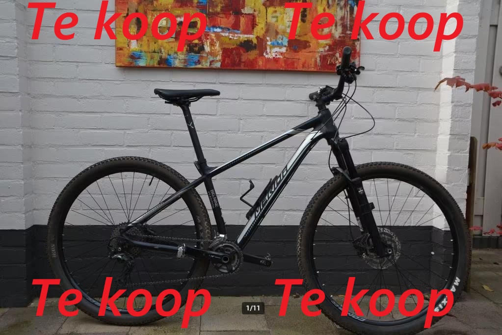 heusden